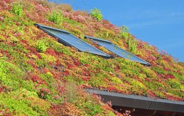 Hawkhope living roof systems