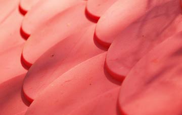 Hawkhope plastic roof costs